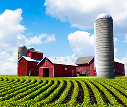 Wisconsin - American Farm